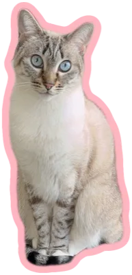 Example die-cut sticker of a cat, made with GammaSticker